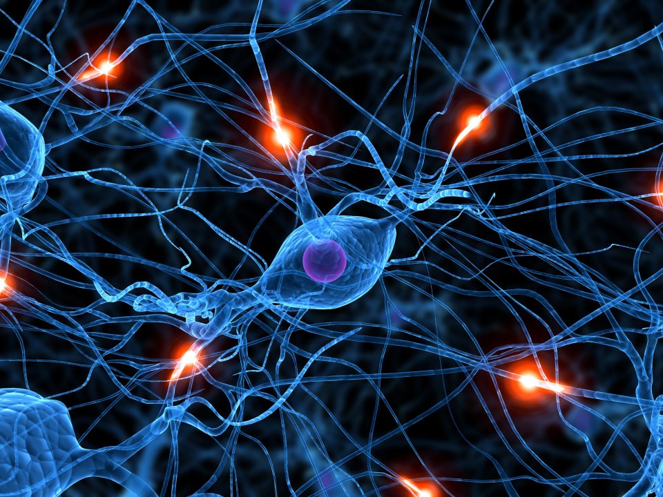 neuroplasticiteit